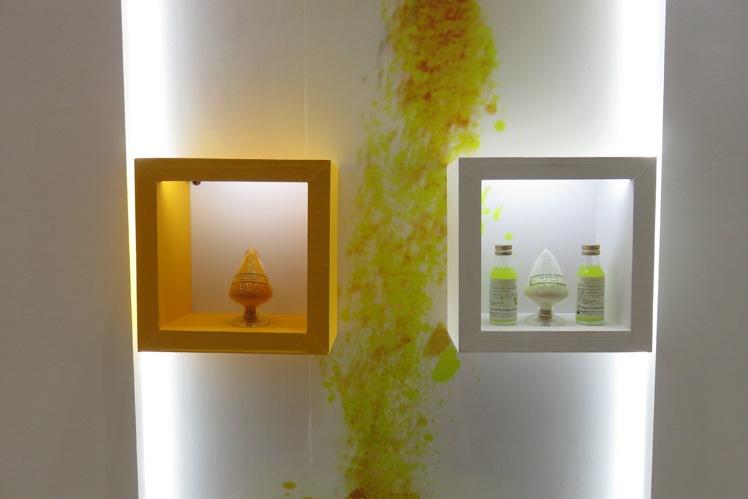 Health Ingredients Japan 2021