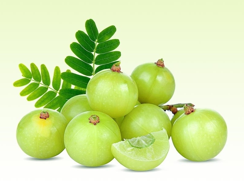 Sabinsa Warns Industry Against Mischaracterized Amla Extracts
