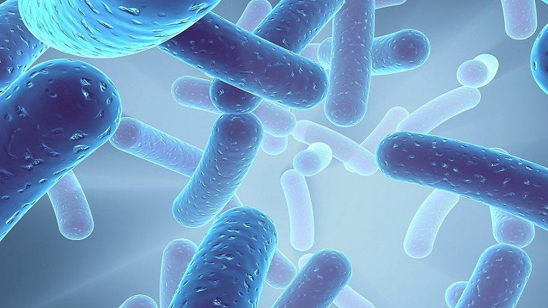 Sabinsa to host free LactoSpore® web seminar 