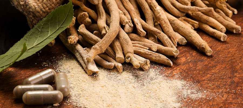 Sami-Sabinsa to Highlight Research on Shagandha™ Ashwagandha for Stress Management Benefits at Expo West 2024 