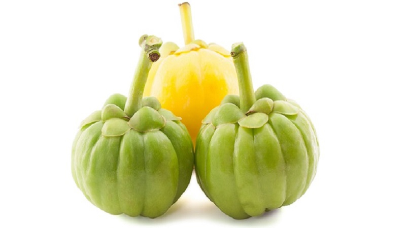 Food enzymes, probiotics can help overcome global nutrition challenges 