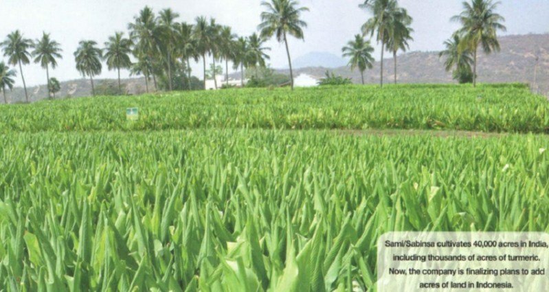 'Global herbal trade potential waiting to be tapped '