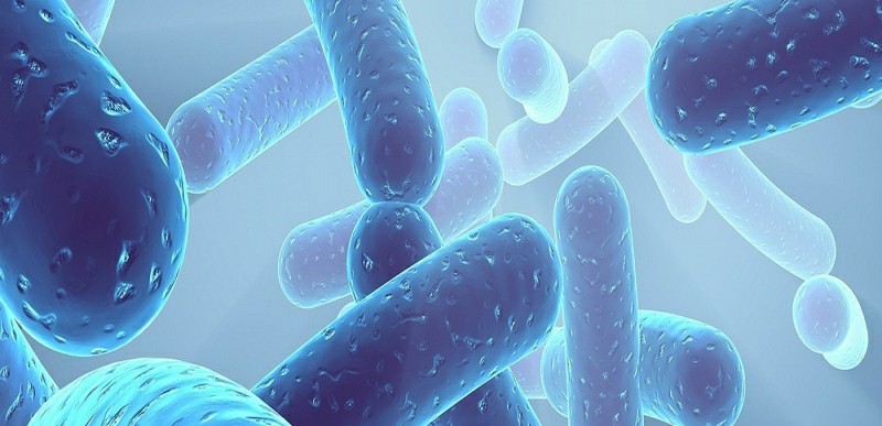 How to Choose An Effective Probiotic For Your Family. Article Featured in Health & Dietary Supplements